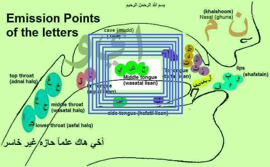 Middle Tongue Letters