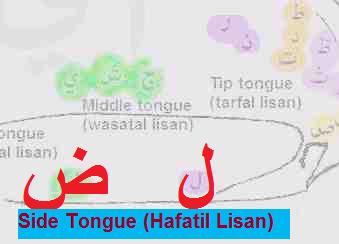 Side Tongue Letters