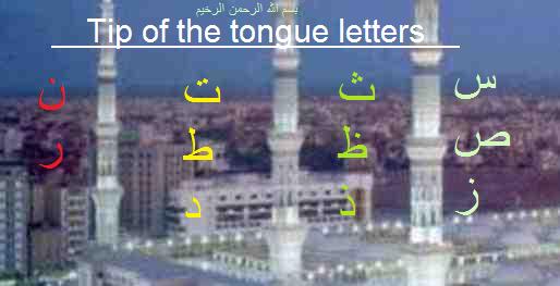 tip of the tongue